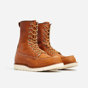 877 Irish Setter