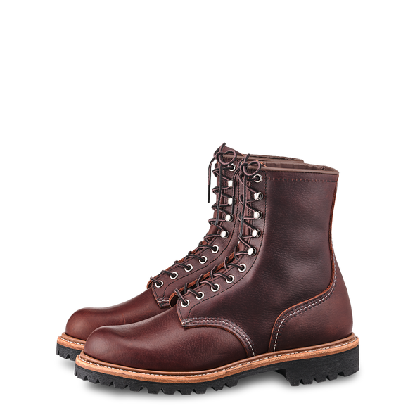 4585 Logger